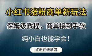 小红书涨粉商单新玩法，保姆级教程，商单接到手软，纯小白也能学会【揭秘】-520资源库