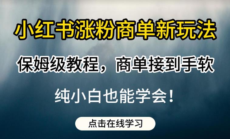 小红书涨粉商单新玩法，保姆级教程，商单接到手软，纯小白也能学会【揭秘】-520资源库