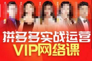 推易拼多多VIP全套直播课程，拼多多店铺实操玩法+实战玩法选款内功+直通车高阶等-520资源库
