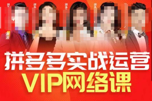 推易拼多多VIP全套直播课程，拼多多店铺实操玩法+实战玩法选款内功+直通车高阶等-520资源库