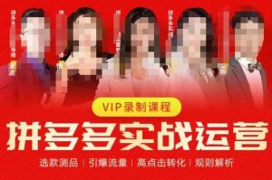 2023推易拼多多实战运营，选款测品、引爆流量、高点击转化、规则解析-520资源库