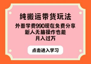 纯搬运带货玩法，外面学费990现在免费分享，新人无脑操作也能月入过万【揭秘】-520资源库