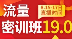 秋秋线上流量密训班19.0，打通流量关卡，线上也能实战流量破局-520资源库