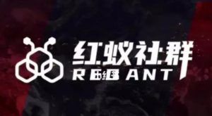 社群运营：红蚁社群【48节落地系统课程+2000人高端社群】-520资源库