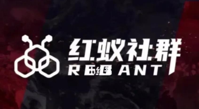 社群运营：红蚁社群【48节落地系统课程+2000人高端社群】-520资源库