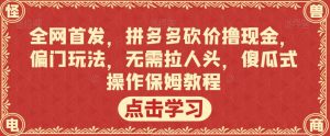 全网首发，拼多多砍价撸现金，偏门玩法，无需拉人头，傻瓜式操作保姆教程【揭秘】-520资源库