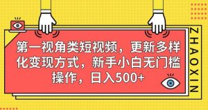 第一视角类短视频，更新多样化变现方式，新手小白无门槛操作，日入500+【揭秘】-520资源库
