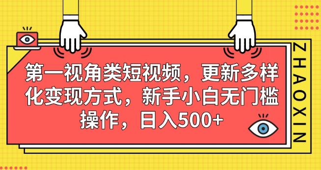 第一视角类短视频，更新多样化变现方式，新手小白无门槛操作，日入500+【揭秘】-520资源库