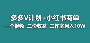 【蓝海项目】多多v计划+小红书商单一个视频三份收益工作室月入10w-520资源库