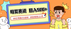 小红书育儿资料，一部手机可操作，多种变现方式，日入500+，私域变现，长期可持续项目【揭秘】-520资源库