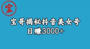 宝哥揭秘抖音美女号玩法，日赚3000+【揭秘】-520资源库