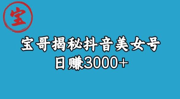宝哥揭秘抖音美女号玩法，日赚3000+【揭秘】-520资源库