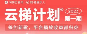 2023年8月份网易云最新独家挂机技术，真正实现挂机月入5000【揭秘】-520资源库