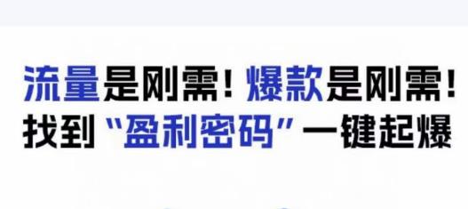 电商盈利精品课：6大盈利密码让产品更好卖，流量是刚需！爆款是刚需！找到”盈利密码”一键起爆-520资源库