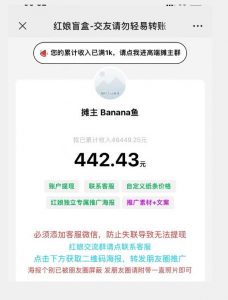 盲盒交友5.0，男粉变现实操项目，亲测变现效果极好【揭秘】-520资源库