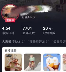 全新的蓝海赛道，抖音一元直播，不用囤货，不用出镜，照读话术也能20w+月销量【揭秘】-520资源库