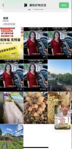 外面收费198的最新视频号连怼技术，条条原创，条条爆单【揭秘】-520资源库