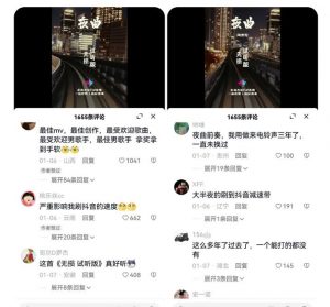 副业拆解：抖音杰伦音乐号涨粉变现项目，视频版一条龙实操玩法分享给你-520资源库