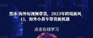 黑冰·海外短视频带货，2023年跨境新风口，海外小黄车带货新机遇-520资源库