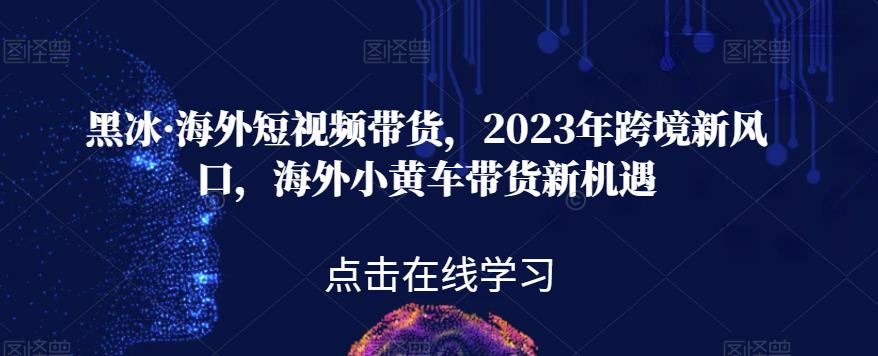 黑冰·海外短视频带货，2023年跨境新风口，海外小黄车带货新机遇-520资源库