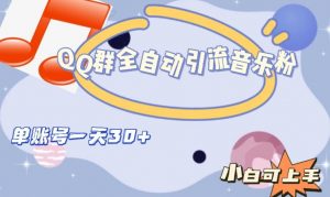 QQ群全自动引流音乐粉，单账号一天轻松引流30+-520资源库