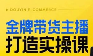 金牌带货主播打造实操课，直播间小公主丹丹老师告诉你，百万主播不可追，高效复制是王道！-520资源库