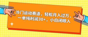 冷门运动赛道，轻松月入过万，一单纯利润30+，小白闭眼入【揭秘】-520资源库
