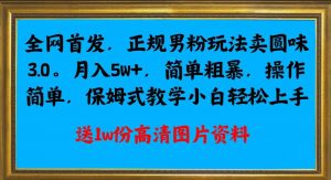 全网首发正规男粉玩法卖圆味3.0，月入5W+，简单粗暴，操作简单，保姆式教学，小白轻松上手-520资源库