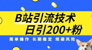 B站引流技术：每天引流200精准粉，简单操作，长期稳定，规避风险-520资源库