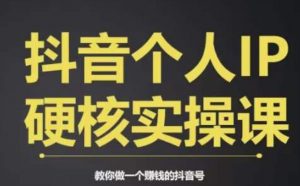 个人IP创富系统实战课，商业定位，流量打造，短视频变现，教你做个赚钱的抖音号-520资源库