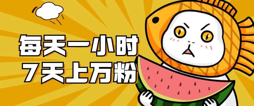 暴力涨粉项目：每天一小时，七天上万粉【揭秘】-520资源库