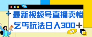 最新视频号直播卖惨乞讨玩法，流量嘎嘎滴，轻松日入300+-520资源库