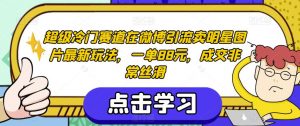 超级冷门赛道在微博引流卖明星图片最新玩法，一单88元，成交非常丝滑【揭秘】-520资源库