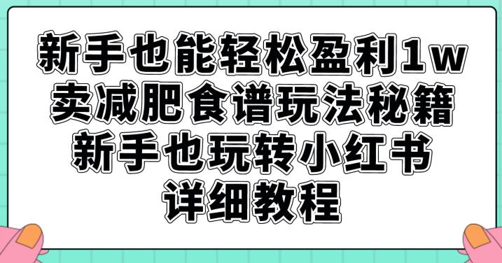 新手也能轻松盈利1w，卖减肥食谱玩法秘籍，新手也玩转小红书详细教程【揭秘】-520资源库