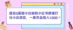 适合0基础小白做的小红书颜值打分小众项目，一条作品收入1000＋【揭秘】-520资源库