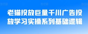 老猫投放巨量千川广告投放学习实操系列基础逻辑-520资源库