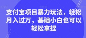 支付宝项目暴力玩法，轻松月入过万，基础小白也可以轻松拿捏【揭秘】-520资源库