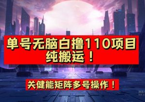 9月全网首发，单号直接白撸110！可多号操作，无脑搬运复制粘贴【揭秘】-520资源库