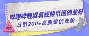 哔哩哔哩B站混剪视频引流创业粉日引300+-520资源库