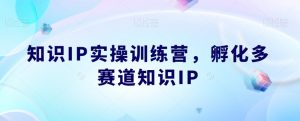 知识IP实操训练营，​孵化多赛道知识IP-520资源库