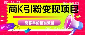 商K引粉变现项目，高客单价精准流量【揭秘】-520资源库