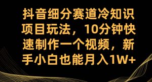 抖音细分赛道冷知识项目玩法，10分钟快速制作一个视频，新手小白也能月入1W+【揭秘】-520资源库