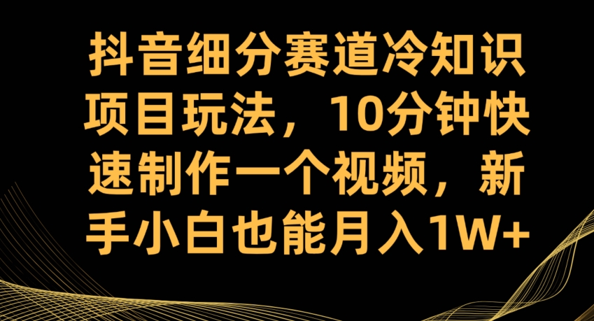 抖音细分赛道冷知识项目玩法，10分钟快速制作一个视频，新手小白也能月入1W+【揭秘】-520资源库