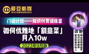 爱豆新媒：如何优雅地「割韭菜」月入10w的秘诀（2023年9月版）-520资源库