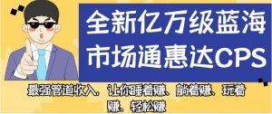 全新亿万级蓝海市场通惠达cps，最强管道收入，让你睡着赚、躺着赚、玩着赚、轻松赚【揭秘】-520资源库