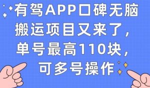 有驾APP口碑无脑搬运项目又来了，单号最高110块，可多号操作-520资源库