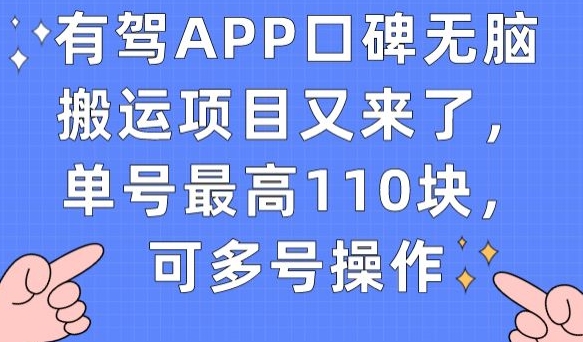 有驾APP口碑无脑搬运项目又来了，单号最高110块，可多号操作-520资源库