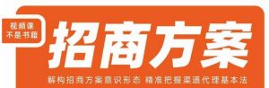 王昕招商方案，解构招商方案意识形态，精准把握渠道代理基本法-520资源库