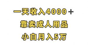 一天收入4000+，靠卖成人用品，小白轻松月入5万【揭秘】-520资源库