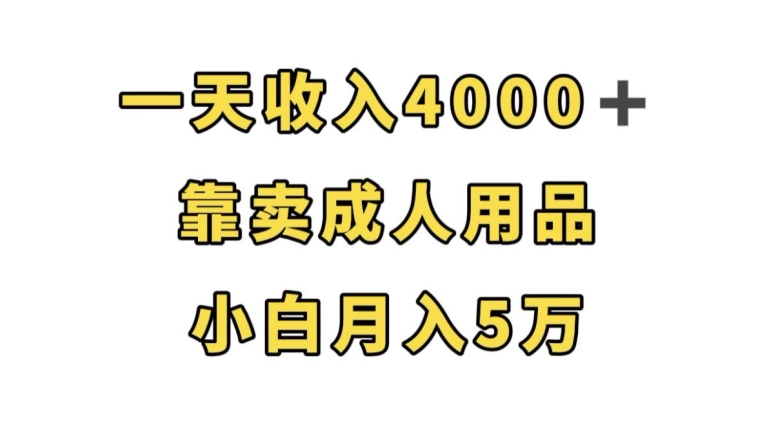 一天收入4000+，靠卖成人用品，小白轻松月入5万【揭秘】-520资源库